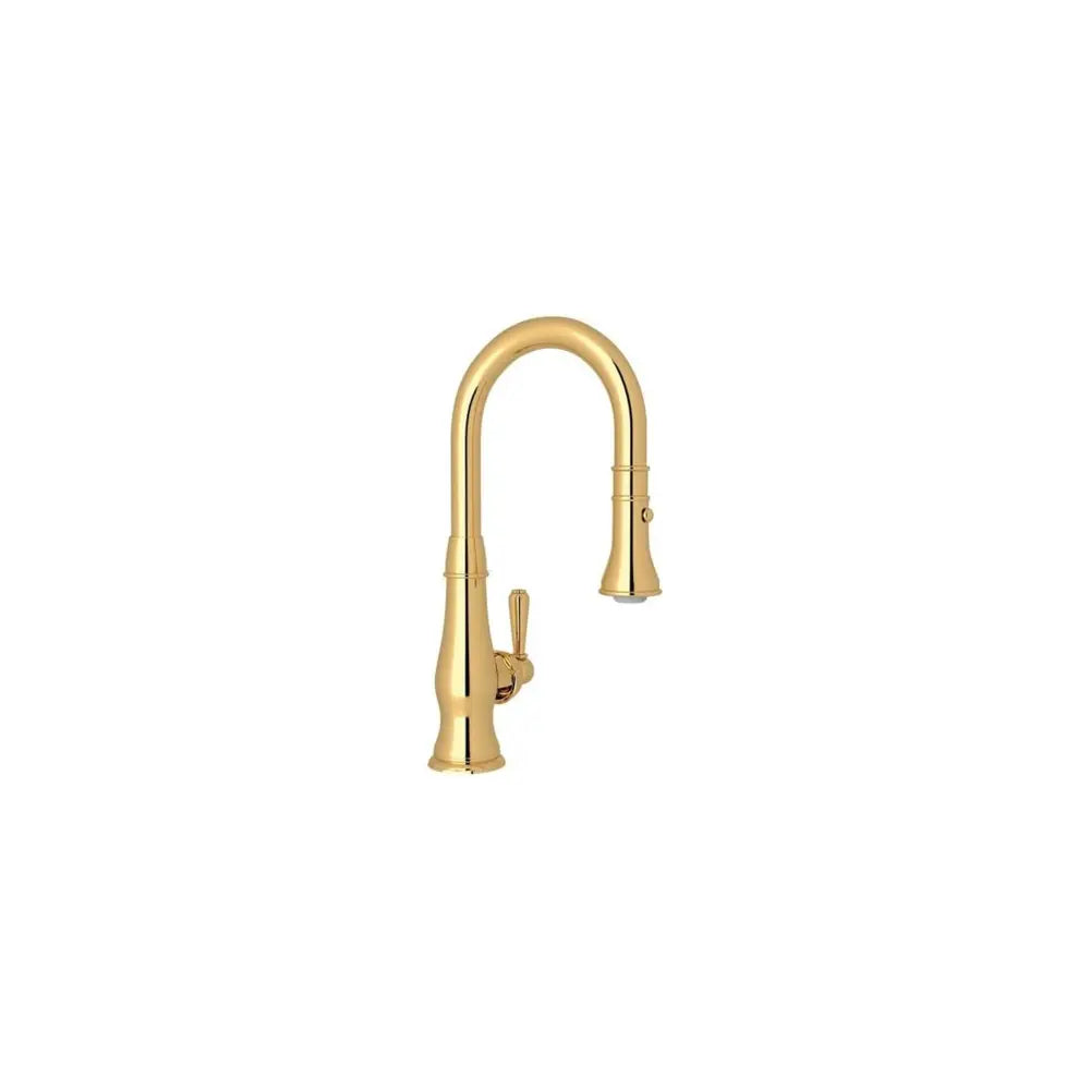 Rohl Patrizia 1.8 GPM Single Hole Pull Down Bar Faucet